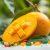 Mango – zdrowotne właściwości, witaminy i korzyści zdrowotne